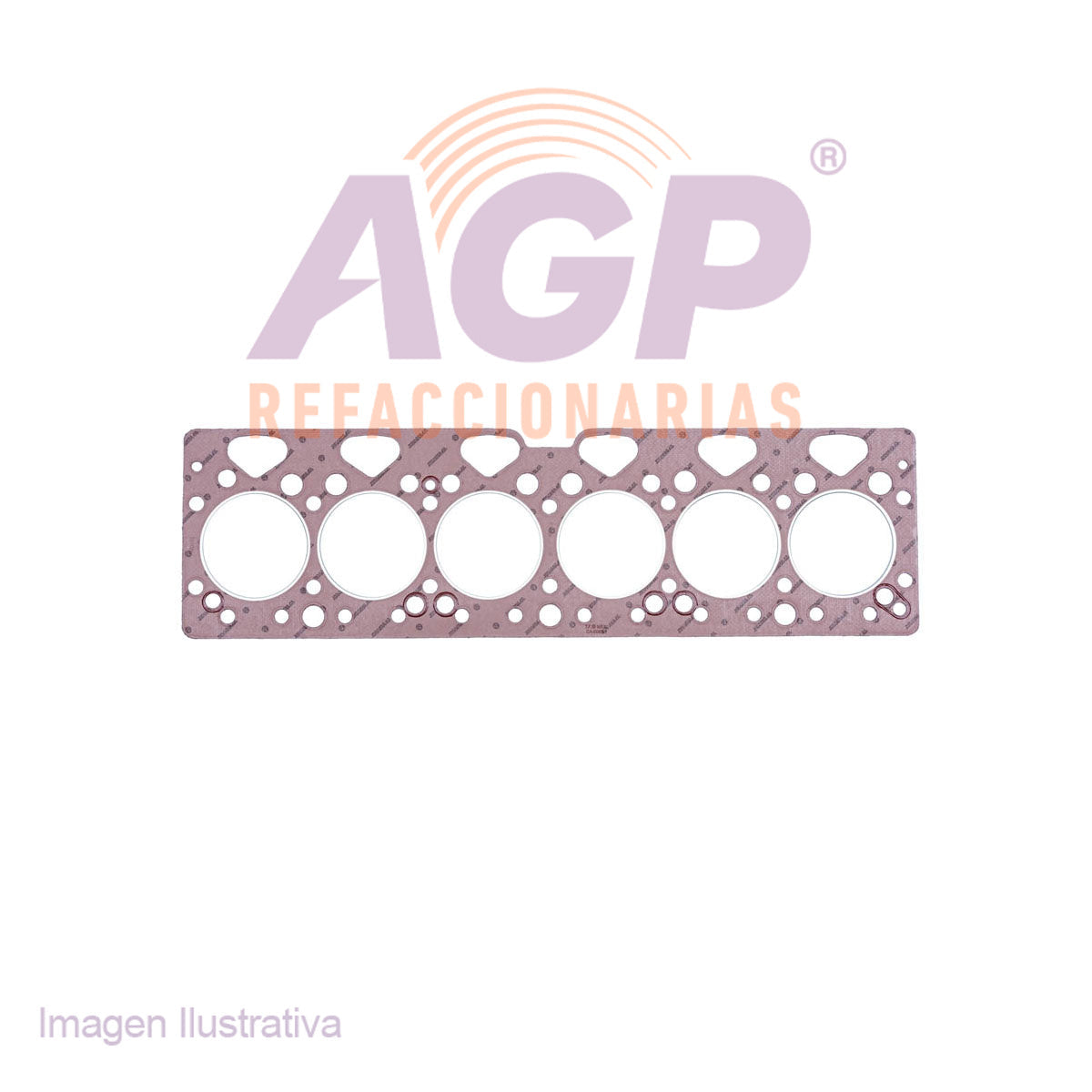 EMPAQUE CABEZA PERKINS (TFV-CA6080-1)